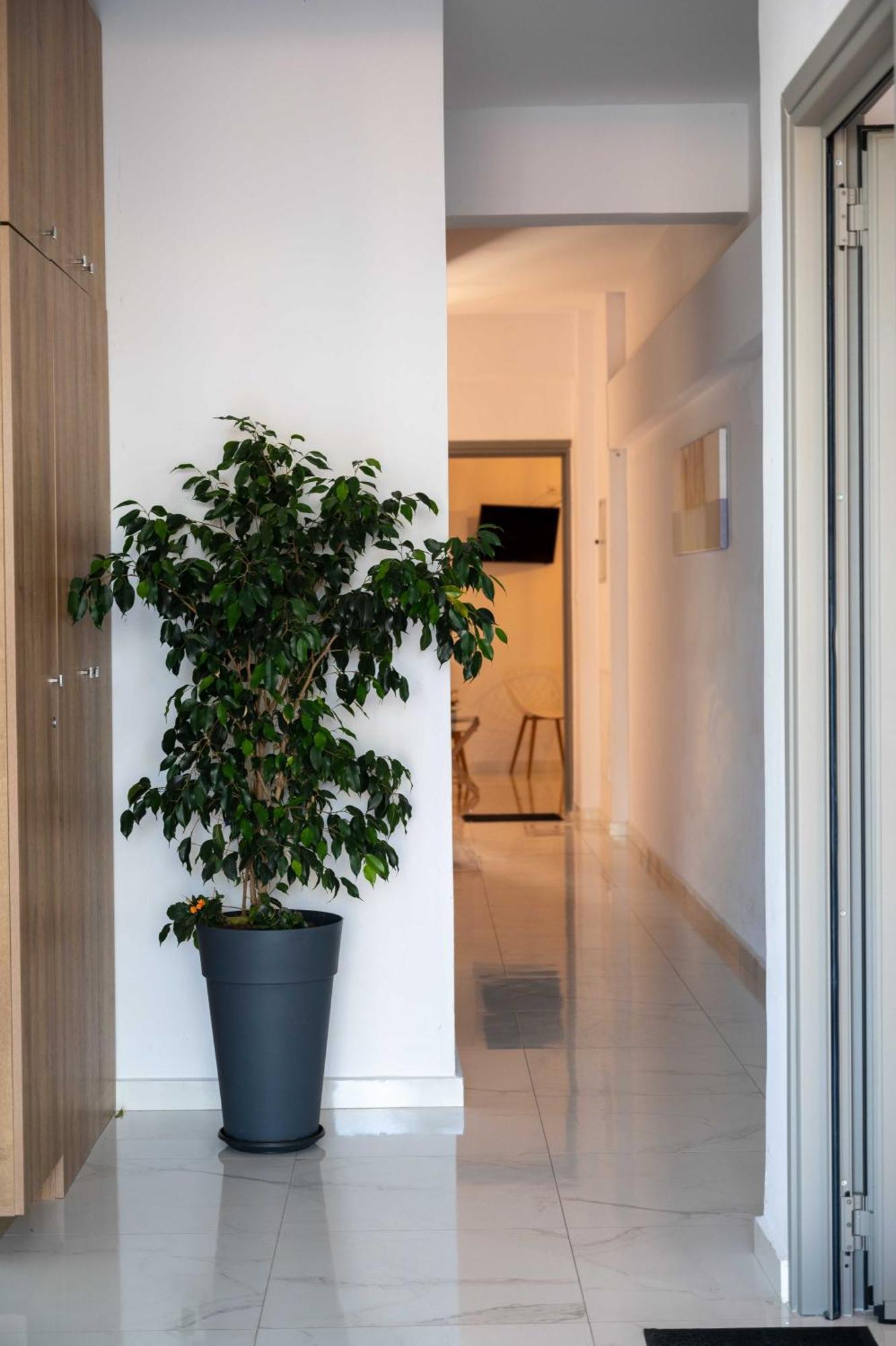 Finikas Suites & Apartments 10Min From Athens Airport Artemida  Exteriör bild