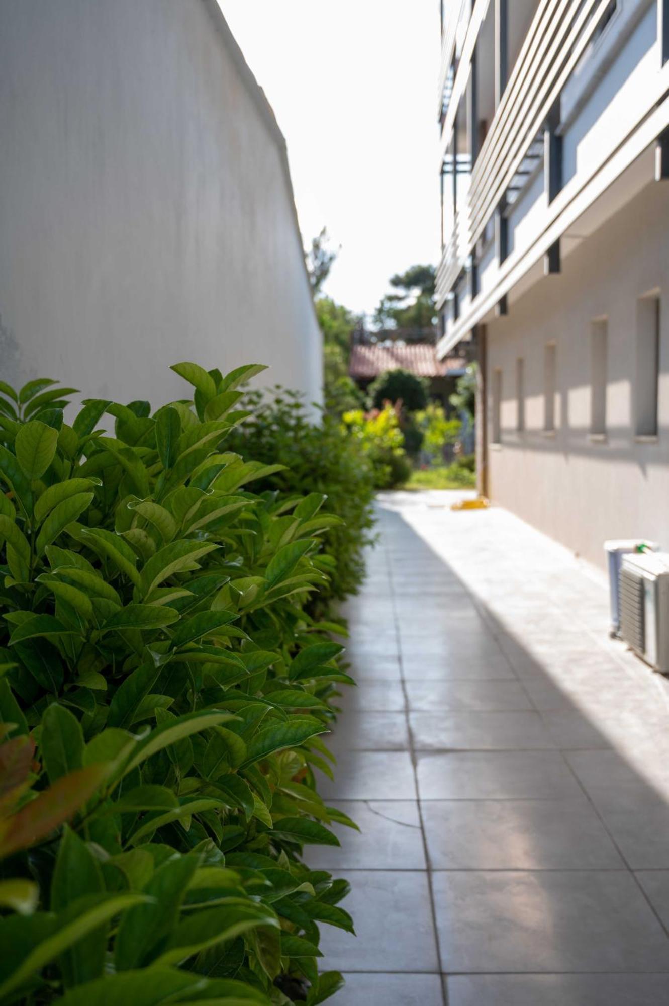 Finikas Suites & Apartments 10Min From Athens Airport Artemida  Exteriör bild